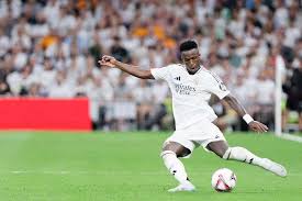 动的发展提 动的发展提